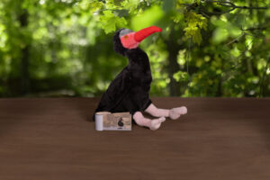 Set "Waldrapp mit Daumenkino"