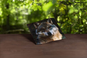 Kissen "Wolf"