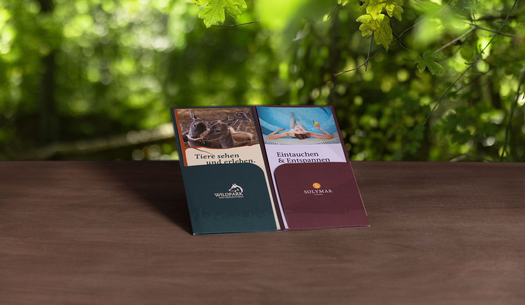 Kombiticket „Wildpark & Solymar“ – Bild 2