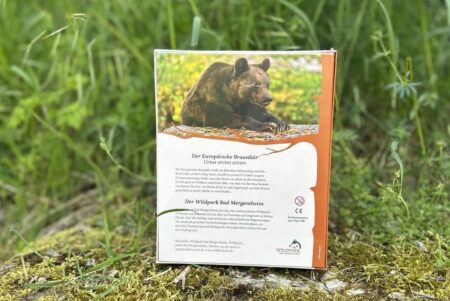Das Wildpark-Puzzle "Unser Braunbär" - 500 Teile – Bild 2