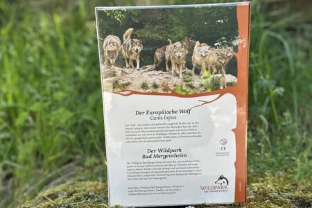 Das Wildpark-Puzzle "Unser Wolfsrudel" - 1000 Teile – Bild 2