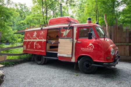 Wolfsbus 2025 – Bild 4