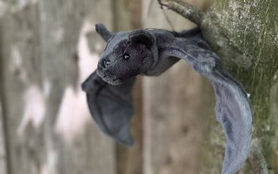 Kuscheltier Fledermaus